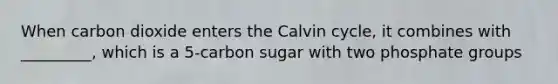 When carbon dioxide enters the Calvin cycle, it combines with _________, which is a 5-carbon sugar with two phosphate groups