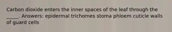 Carbon dioxide enters the inner spaces of the leaf through the _____. Answers: epidermal trichomes stoma phloem cuticle walls of guard cells