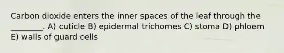 Carbon dioxide enters the inner spaces of the leaf through the ________. A) cuticle B) epidermal trichomes C) stoma D) phloem E) walls of guard cells