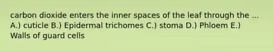 carbon dioxide enters the inner spaces of the leaf through the ... A.) cuticle B.) Epidermal trichomes C.) stoma D.) Phloem E.) Walls of guard cells