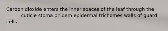 Carbon dioxide enters the inner spaces of the leaf through the _____. cuticle stoma phloem epidermal trichomes walls of guard cells