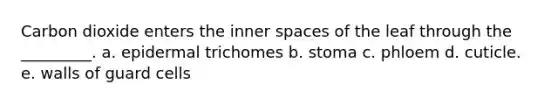 Carbon dioxide enters the inner spaces of the leaf through the _________. a. epidermal trichomes b. stoma c. phloem d. cuticle. e. walls of guard cells