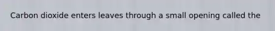 Carbon dioxide enters leaves through a small opening called the