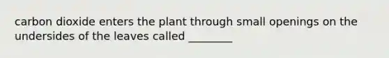 carbon dioxide enters the plant through small openings on the undersides of the leaves called ________