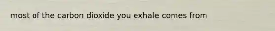 most of the carbon dioxide you exhale comes from