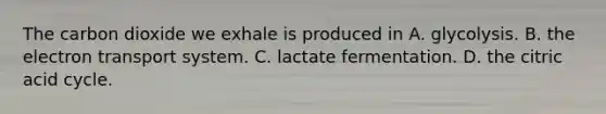 The carbon dioxide we exhale is produced in A. glycolysis. B. the electron transport system. C. lactate fermentation. D. the citric acid cycle.