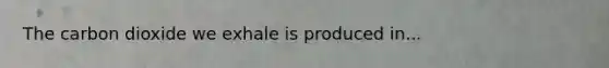 The carbon dioxide we exhale is produced in...