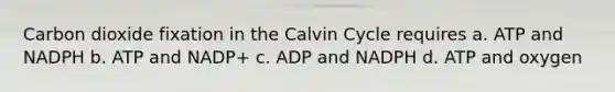 Carbon dioxide fixation in the Calvin Cycle requires a. ATP and NADPH b. ATP and NADP+ c. ADP and NADPH d. ATP and oxygen