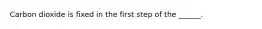 Carbon dioxide is fixed in the first step of the ______.