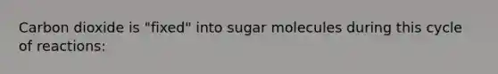 Carbon dioxide is "fixed" into sugar molecules during this cycle of reactions: