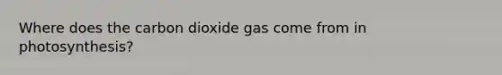 Where does the carbon dioxide gas come from in photosynthesis?