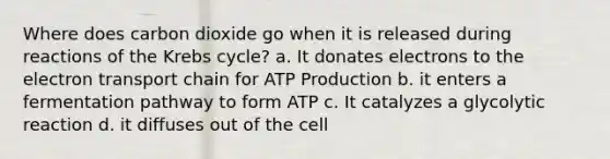 Where does carbon dioxide go when it is released during reactions of the Krebs cycle? a. It donates electrons to the electron transport chain for ATP Production b. it enters a fermentation pathway to form ATP c. It catalyzes a glycolytic reaction d. it diffuses out of the cell