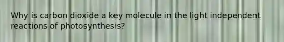 Why is carbon dioxide a key molecule in the light independent reactions of photosynthesis?