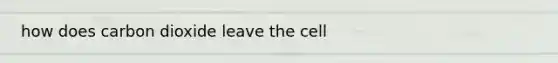 how does carbon dioxide leave the cell