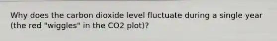 Why does the carbon dioxide level fluctuate during a single year (the red "wiggles" in the CO2 plot)?