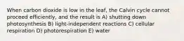 When carbon dioxide is low in the leaf, the Calvin cycle cannot proceed efficiently, and the result is A) shutting down photosynthesis B) light-independent reactions C) cellular respiration D) photorespiration E) water