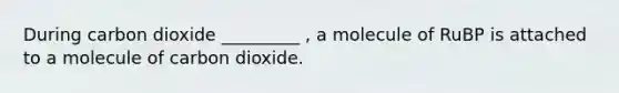 During carbon dioxide _________ , a molecule of RuBP is attached to a molecule of carbon dioxide.