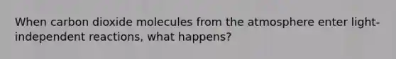 When carbon dioxide molecules from the atmosphere enter light-independent reactions, what happens?