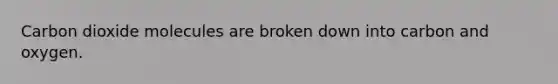 Carbon dioxide molecules are broken down into carbon and oxygen.