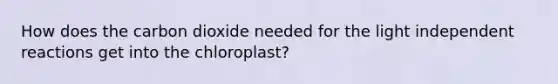 How does the carbon dioxide needed for the light independent reactions get into the chloroplast?