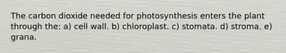 The carbon dioxide needed for photosynthesis enters the plant through the: a) cell wall. b) chloroplast. c) stomata. d) stroma. e) grana.