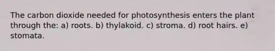 The carbon dioxide needed for photosynthesis enters the plant through the: a) roots. b) thylakoid. c) stroma. d) root hairs. e) stomata.