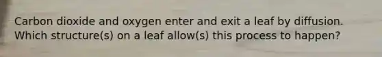Carbon dioxide and oxygen enter and exit a leaf by diffusion. Which structure(s) on a leaf allow(s) this process to happen?