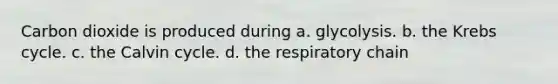 Carbon dioxide is produced during a. glycolysis. b. the Krebs cycle. c. the Calvin cycle. d. the respiratory chain