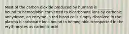 Most of the carbon dioxide produced by humans is ________. bound to hemoglobin converted to bicarbonate ions by carbonic anhydrase, an enzyme in red blood cells simply dissolved in the plasma bicarbonate ions bound to hemoglobin transported in the erythrocytes as carbonic acid