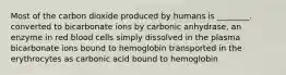 Most of the carbon dioxide produced by humans is ________. converted to bicarbonate ions by carbonic anhydrase, an enzyme in red blood cells simply dissolved in the plasma bicarbonate ions bound to hemoglobin transported in the erythrocytes as carbonic acid bound to hemoglobin