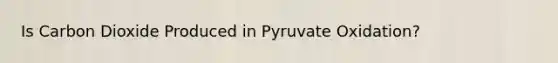 Is Carbon Dioxide Produced in Pyruvate Oxidation?