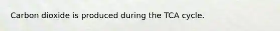 Carbon dioxide is produced during the TCA cycle.