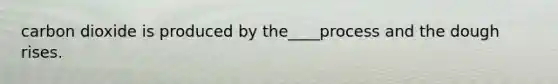 carbon dioxide is produced by the____process and the dough rises.