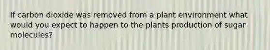 If carbon dioxide was removed from a plant environment what would you expect to happen to the plants production of sugar molecules?