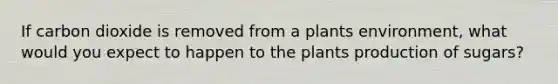 If carbon dioxide is removed from a plants environment, what would you expect to happen to the plants production of sugars?