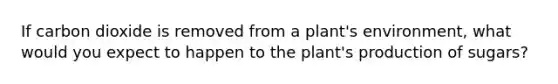 If carbon dioxide is removed from a plant's environment, what would you expect to happen to the plant's production of sugars?