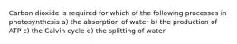 Carbon dioxide is required for which of the following processes in photosynthesis a) the absorption of water b) the production of ATP c) the Calvin cycle d) the splitting of water