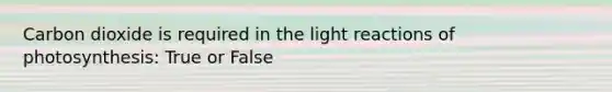 Carbon dioxide is required in the light reactions of photosynthesis: True or False