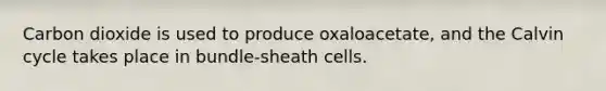 Carbon dioxide is used to produce oxaloacetate, and the Calvin cycle takes place in bundle-sheath cells.