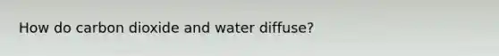 How do carbon dioxide and water diffuse?