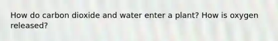 How do carbon dioxide and water enter a plant? How is oxygen released?