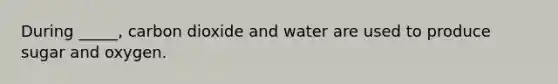 During _____, carbon dioxide and water are used to produce sugar and oxygen.