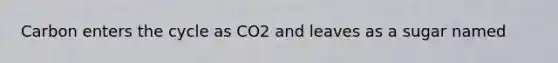 Carbon enters the cycle as CO2 and leaves as a sugar named