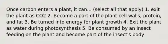 Once carbon enters a plant, it can... (select all that apply) 1. exit the plant as CO2 2. Become a part of the plant cell walls, protein, and fat 3. Be turned into energy for plant growth 4. Exit the plant as water during photosynthesis 5. Be consumed by an insect feeding on the plant and become part of the insect's body