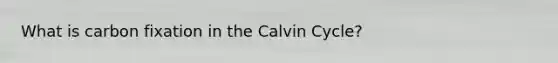 What is carbon fixation in the Calvin Cycle?