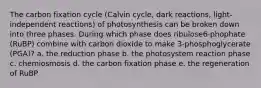 The carbon fixation cycle (Calvin cycle, dark reactions, light-independent reactions) of photosynthesis can be broken down into three phases. During which phase does ribulose6-phophate (RuBP) combine with carbon dioxide to make 3-phosphoglycerate (PGA)? a. the reduction phase b. the photosystem reaction phase c. chemiosmosis d. the carbon fixation phase e. the regeneration of RuBP