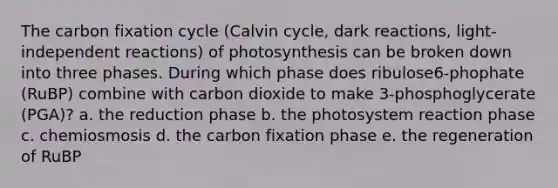 The carbon fixation cycle (Calvin cycle, dark reactions, light-independent reactions) of photosynthesis can be broken down into three phases. During which phase does ribulose6-phophate (RuBP) combine with carbon dioxide to make 3-phosphoglycerate (PGA)? a. the reduction phase b. the photosystem reaction phase c. chemiosmosis d. the carbon fixation phase e. the regeneration of RuBP