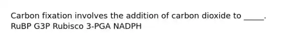 Carbon fixation involves the addition of carbon dioxide to _____. RuBP G3P Rubisco 3-PGA NADPH