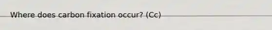 Where does carbon fixation occur? (Cc)