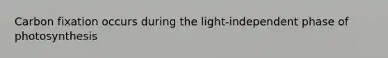 Carbon fixation occurs during the light-independent phase of photosynthesis